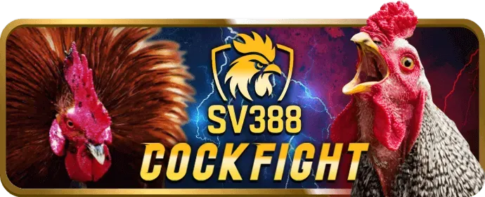 Cá cược bóng rổ và eSports b52play